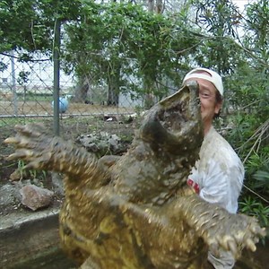 June 17 marks 40 trips around the sun, and we’re just getting started. Here’s to inspiring curiosity and wonder about the natural world! | Discovery