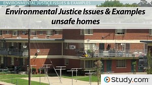 Environmental Justice | Definition, Principles & Examples
