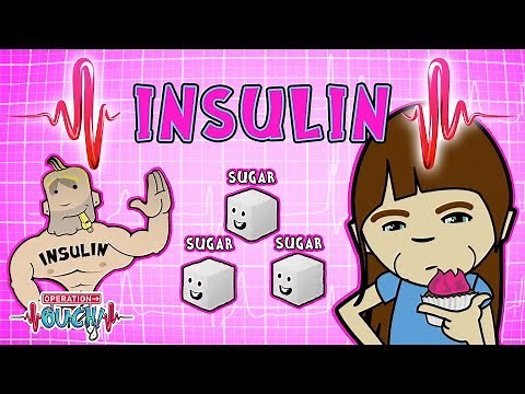 Operation Ouch - Insulin | Endocrine System