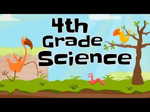 4th Grade Science Compilation