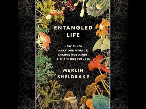 Entangled Life: How Fungi Make Our Worlds, Change Our Minds and Shape Our Futures