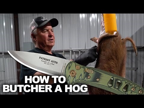 How to Clean a Wild Hog