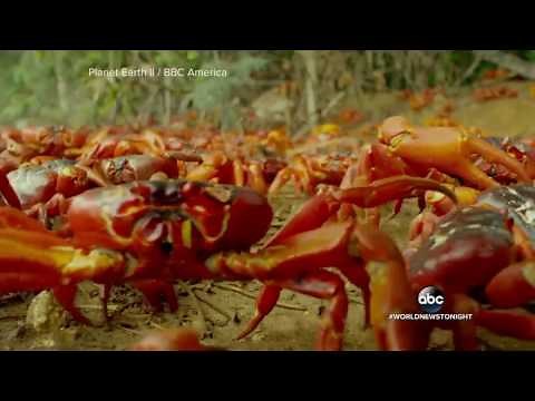 Planet Earth as you've never seen it before