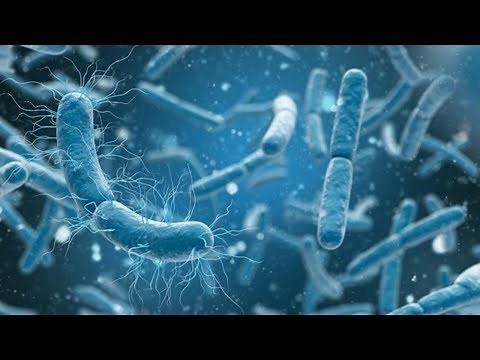 Web of Complex Biology | Science Documentary | Bill Nye