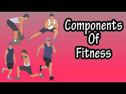 The Major Health Related Components Of Physical Fitness - How To Improve Your Health