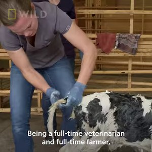 Get a glimpse into life on a working dairy farm with the Hatcher family of Hatcher Family Dairy in College Grove, a sixth-generation farming and veterinary family. The Hatchers run their nearly 200-year-old dairy operation on hundreds of acres of farmland while managing a veterinary practice serving farmers and animals across Tennessee. Follow along with Dr. Jennifer Hatcher and her family on the daily life at the farm, attending, caring, and protecting cows, chickens, horses, goats, and pigs am