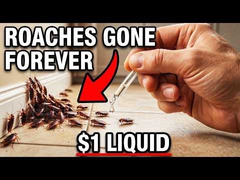 $1 Liquid KILLED Every Cockroach FOREVER. BANNED 27 States. They PRAYED You'd Never Know