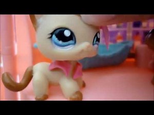 LPS || Love Story || Episode 3