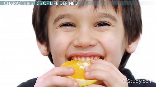 8 Characteristics of Life in Biology | Properties & Examples