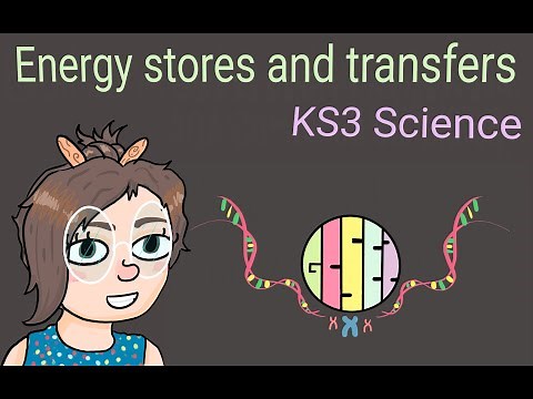 Science KS3 : Energy Stores and Transfers