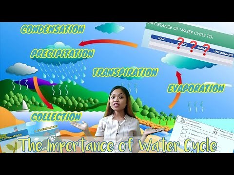 The Importance of Water Cycle | Grade 4 Science | Quarter 4, Week 3