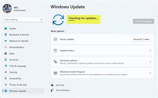 Checking for Updates taking forever in Windows 11/10