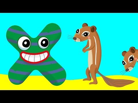 ABC Phonics with Animals | XERUS | Letter X