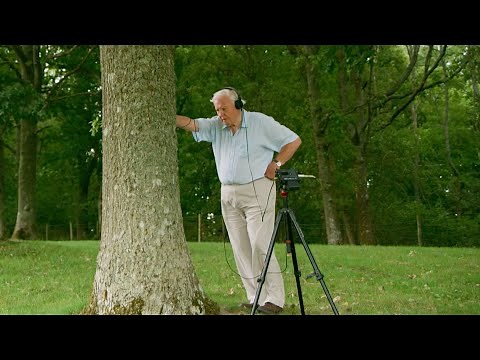 What’s in the Trunk? with Sir David Attenborough | The Green Planet | BBC Earth
