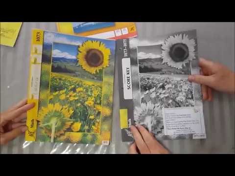 A.C.E. Math Review (Accelerated Christian Education)