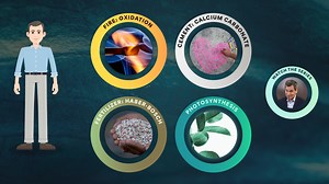 Beyond the Elements: Reactions Interactive | NOVA | PBS