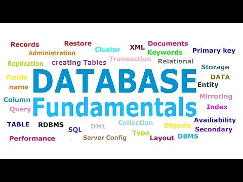 Database Fundamentals for Beginners | Database Tutorial