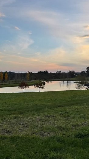 T H E S P A C E S W E N E E D T O H E A L This evening by the dam, everything was still. The water barely moved, the air soft and quiet - just space. I’ve been thinking lately about how we rush to fill the spaces in our lives. The moment something slows down, our instinct is to fill it - with work, plans, people, or noise. We call it being “productive,” and we love to say we are “busy” but really, it’s avoiding the pause. I’ve done it too. But the more I learn - and the more I see in my clients 