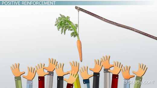 Organizational Behavior Modification: Definition & Example