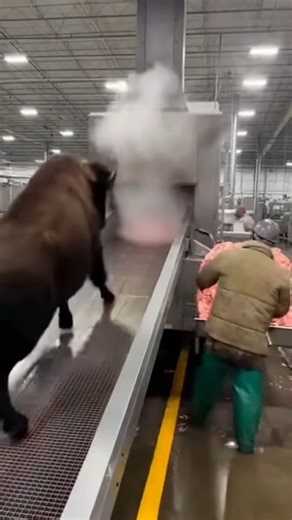 High-Tech Innovations Revolutionizing Farming