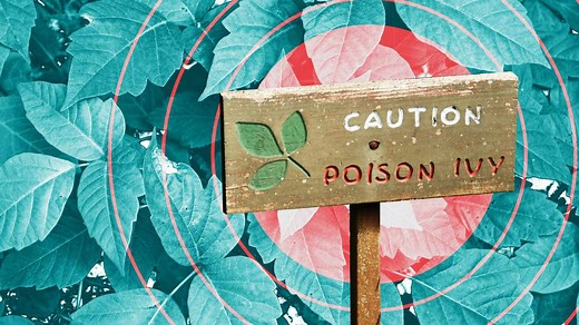 4 Home Remedies for Poison Ivy, Oak, and Sumac Rashes