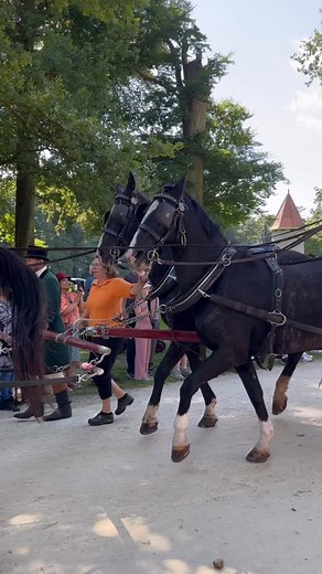 🏰🚴‍♂️ Kasteelentocht – A Journey Through Dutch Castles & Traditions! 🇳🇱✨ 🌿 Cycle through breathtaking landscapes, charming villages, and historic estates 🌳🚲 🏰 Discover beautiful castles along the route — each one filled with stories and centuries of history 📚✨ 🐴 One of the highlights: traditional carriages (faytons) gliding along the castle paths! 👩‍🦰👗 Women in traditional Dutch costumes 👨‍🦱🧥 Men dressed in historic riding outfits They ride proudly on beautifully groomed horses, 