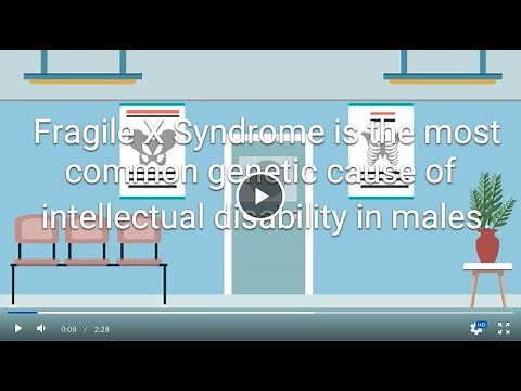 Genetics and Care of Children and Families with Fragile X Syndrome