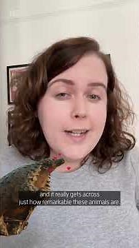 This science documentary is scarier than any horror film you'll see 📺️😱