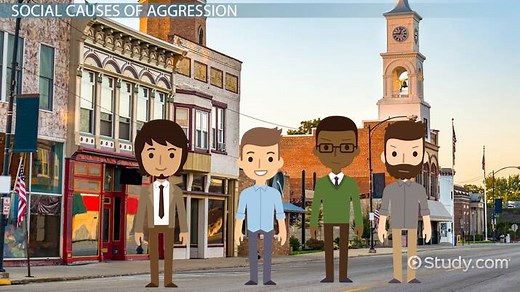 Causes of Aggression: Social, Cultural & Personal