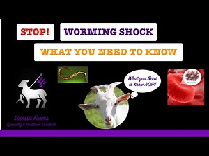 Worming Shock: When Sheep and Goats Die From Worming! Cause, Prevention, and Treatment!
