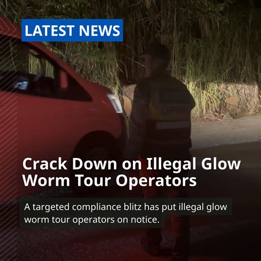 ❗ Queensland Parks and Wildlife Service is cracking down on unlicensed tour operators in Springbrook National Park. 🌟 Springbrook National Park is not only home to ancient rainforests and jaw-dropping waterfalls; it’s also home to thousands of glow worms. They are a must-see, with their magical lightshow after sunset. But don’t let illegal operators ruin your experience! As demand for glow worm experiences grows, so too has the number of illegal operators attempting to cash in. And on 21 Februa