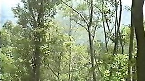 Vintage Japanese Idol Model With Penguin Suit - RedPorn.Tv