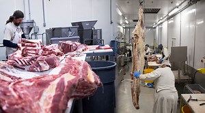 Precision Machinery Used in Meat Processing Plants