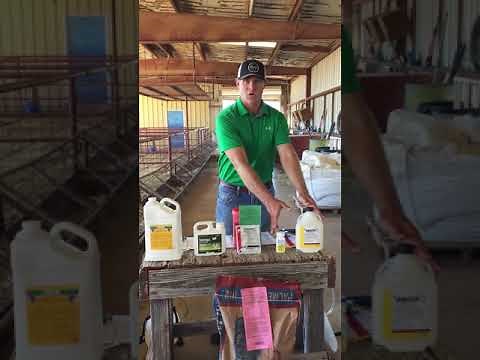 Best Management Practices for Deworming Sheep and Goats