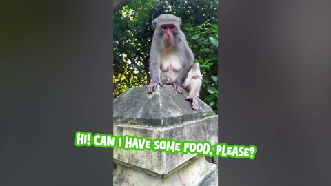 Funny Moments Compilation: Hilarious Clips That Will Make You Laugh! 😂🎉