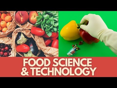 Food Science And Technology: Behind What We Eat!