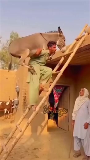 #TrendingReels #TrendingReels #Foryoupage ##FYP #FYP #ViralTikTok #MillionViews #TechMagic #SmartBot #AITrend #RobotVibes #Innovation