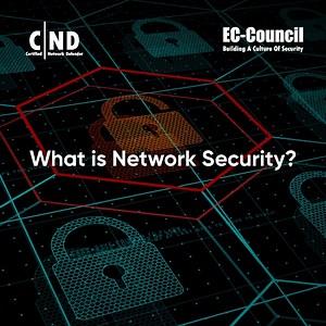What Is Network Security? Importance, Types, Jobs & More