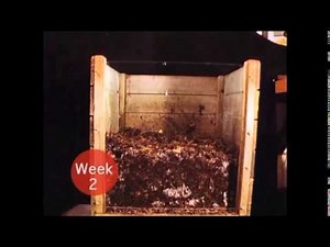 Compost Time-Lapse