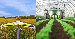 9 robots that are invading the agriculture industry