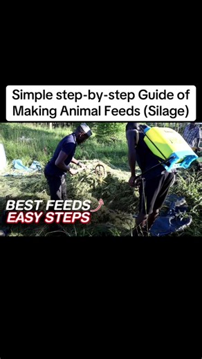Step-by-Step Guide to Making Silage for Goats
