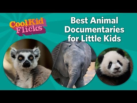 Best Animal Documentaries for Little Kids