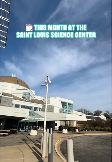 Explore Science Fun Activities at STL Science Center