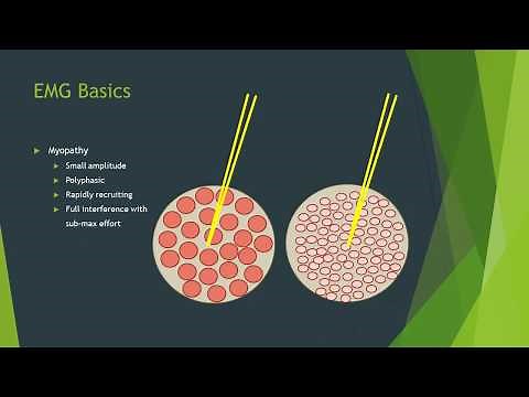 Neurophysiology for Neurologists