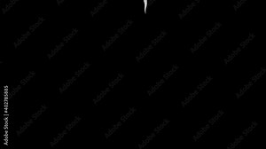 Animation of a space shuttle. The separation of the rocket boosters, alpha channel included. Cartoon