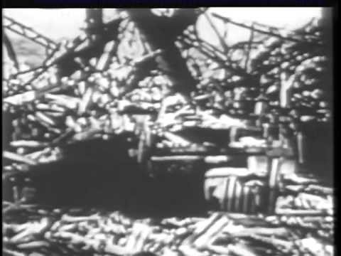 The Effects of the Atomic Bomb on Hiroshima and Nagasaki