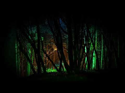 Crickets Chirping Sound Effect