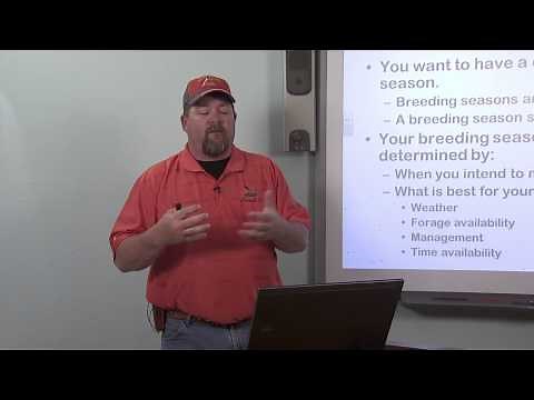 Basic Reproduction and Breeding Systems of Meat Goats