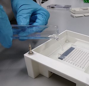 Department of Applied Science