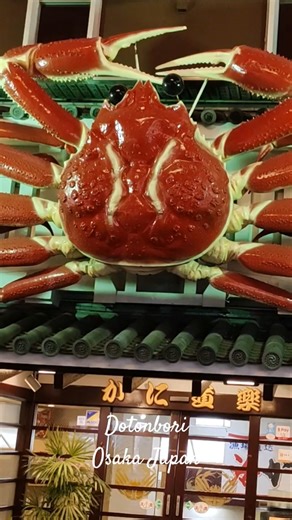 Dotonbori, Osaka Japan | Explore Dotonbori — The Heart of Japan’s Street Life! Part-5